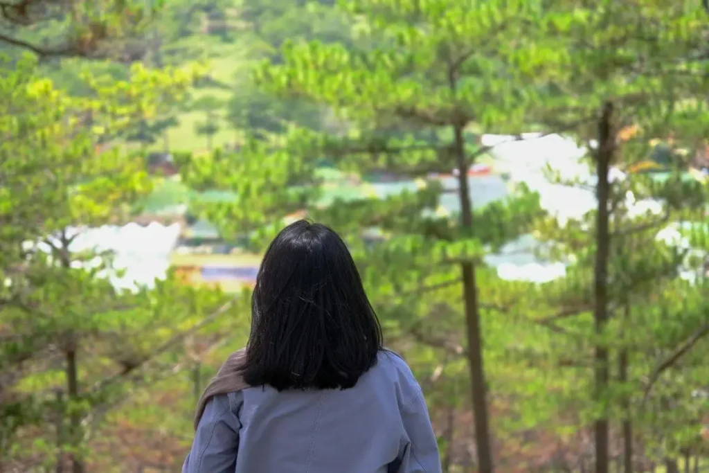 Mulher de costas observando a natureza em ambiente externo, com árvores verdes ao fundo e sensação de calma e liberdade.